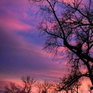 Meet your Posher, Millie